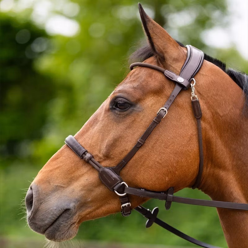 JumpIn Bitless Bridle - Evolution series