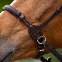 JumpIn Bitless Bridle - Evolution series