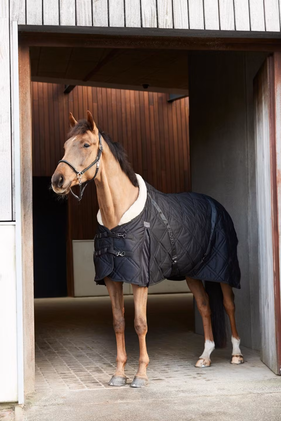 CATAGO Fir-Tech Quilt stalltäcke m. päls - 200g