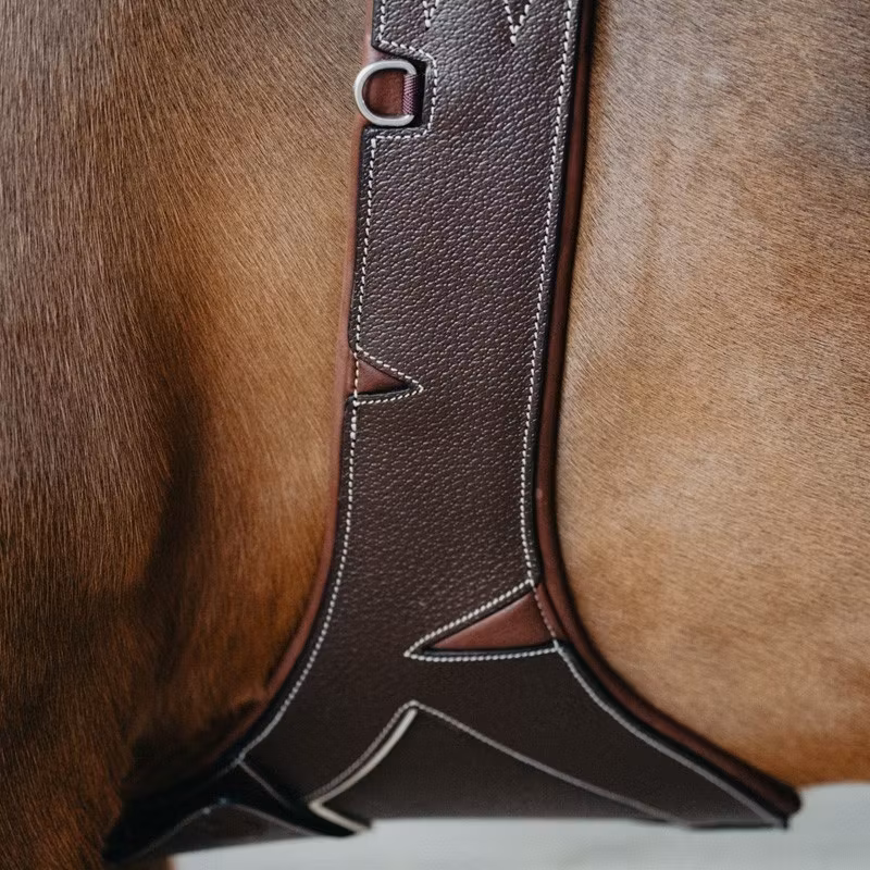 JumpIn SAFETY New Look Elastic Magplatta - Origin Collection