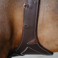 JumpIn SAFETY New Look Elastic Magplatta - Origin Collection