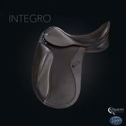 Lippo Integro, dressyr