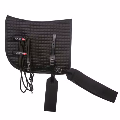 Eques Core training system.