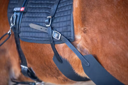 Eques Core training system.
