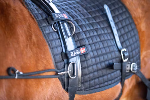 Eques Core training system.