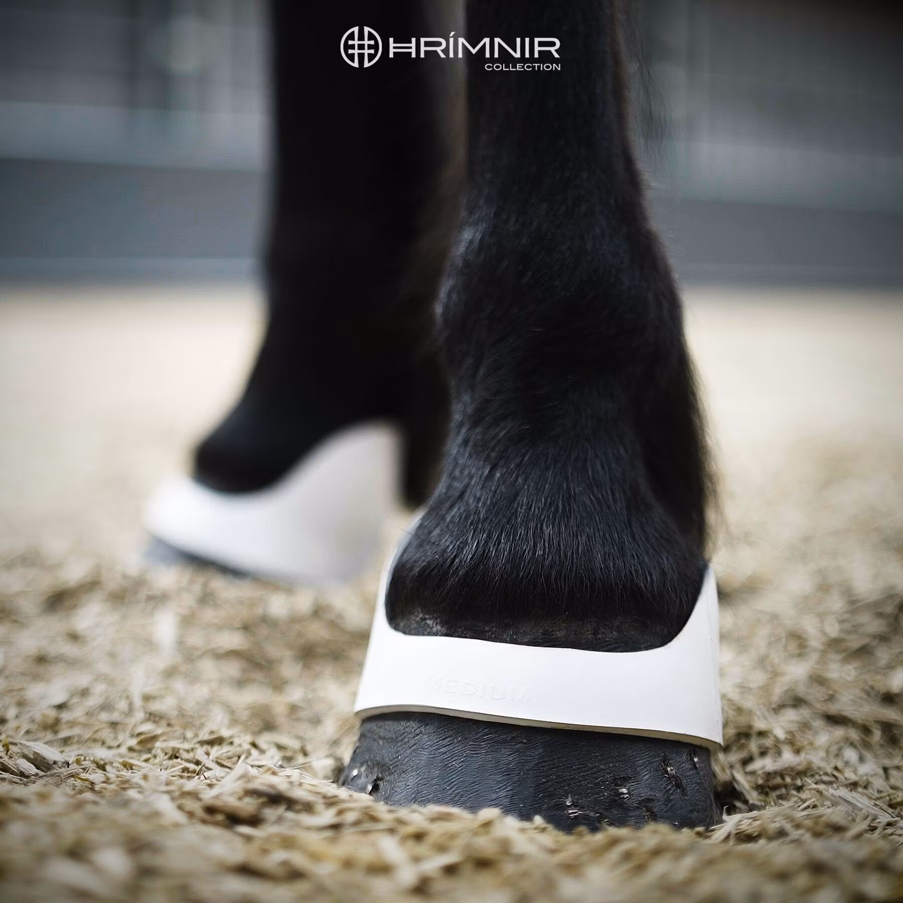 Hrimnir Q boots, scalpers