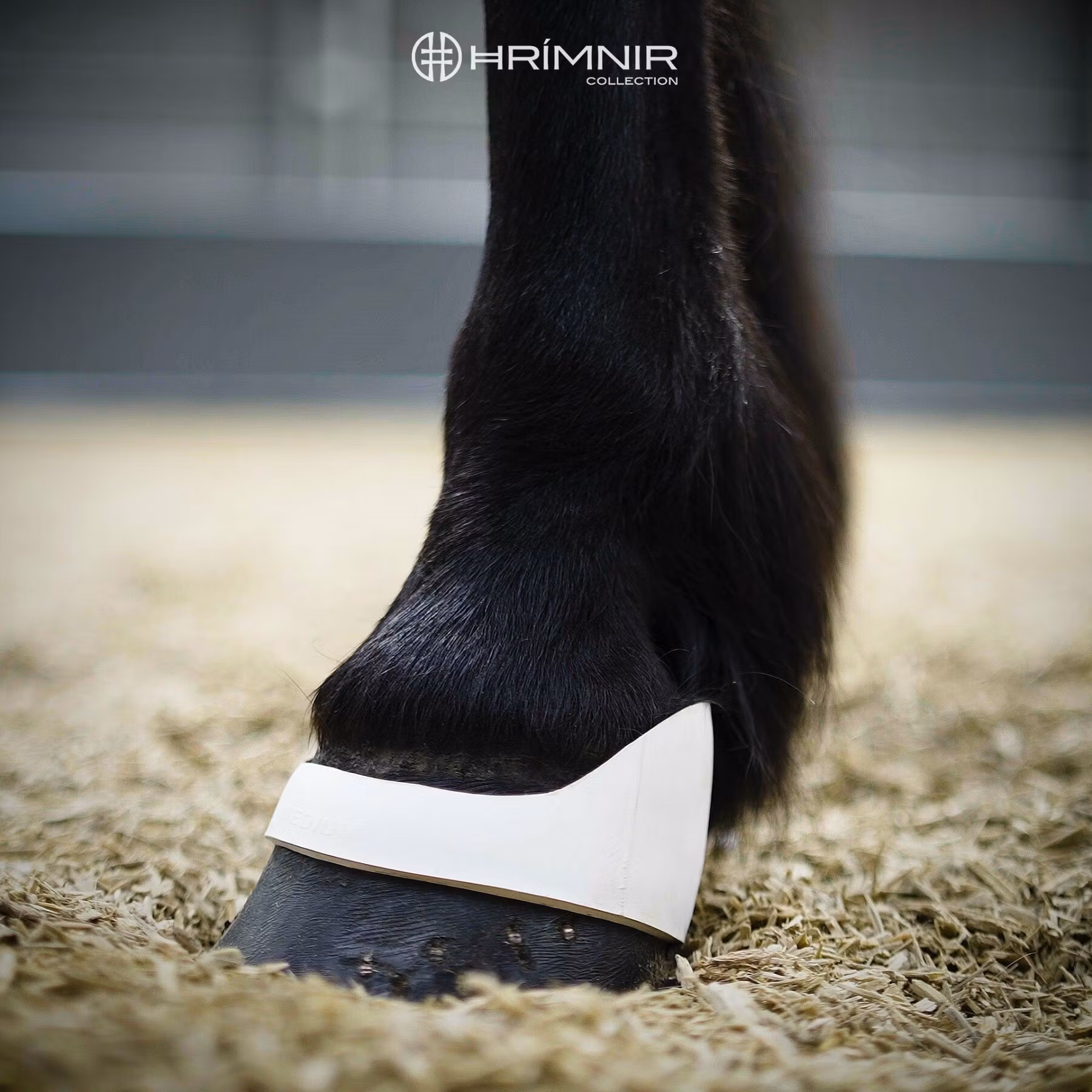 Hrimnir Q boots, scalpers