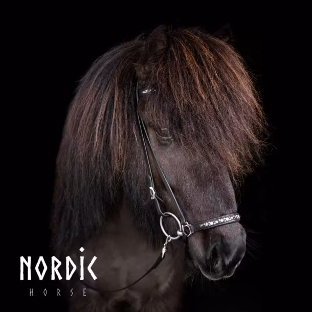 Hannoveransk nosgrimma med rosa stenar