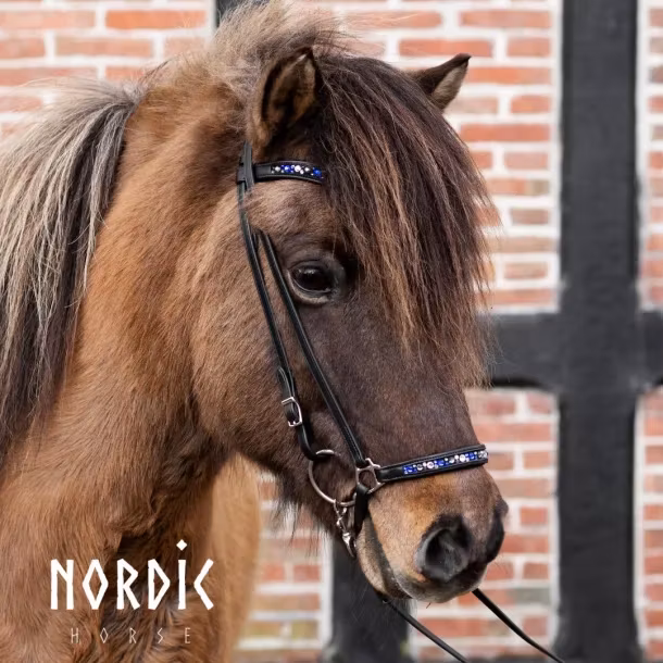 Hannoveransk nosgrimma med blå stenar