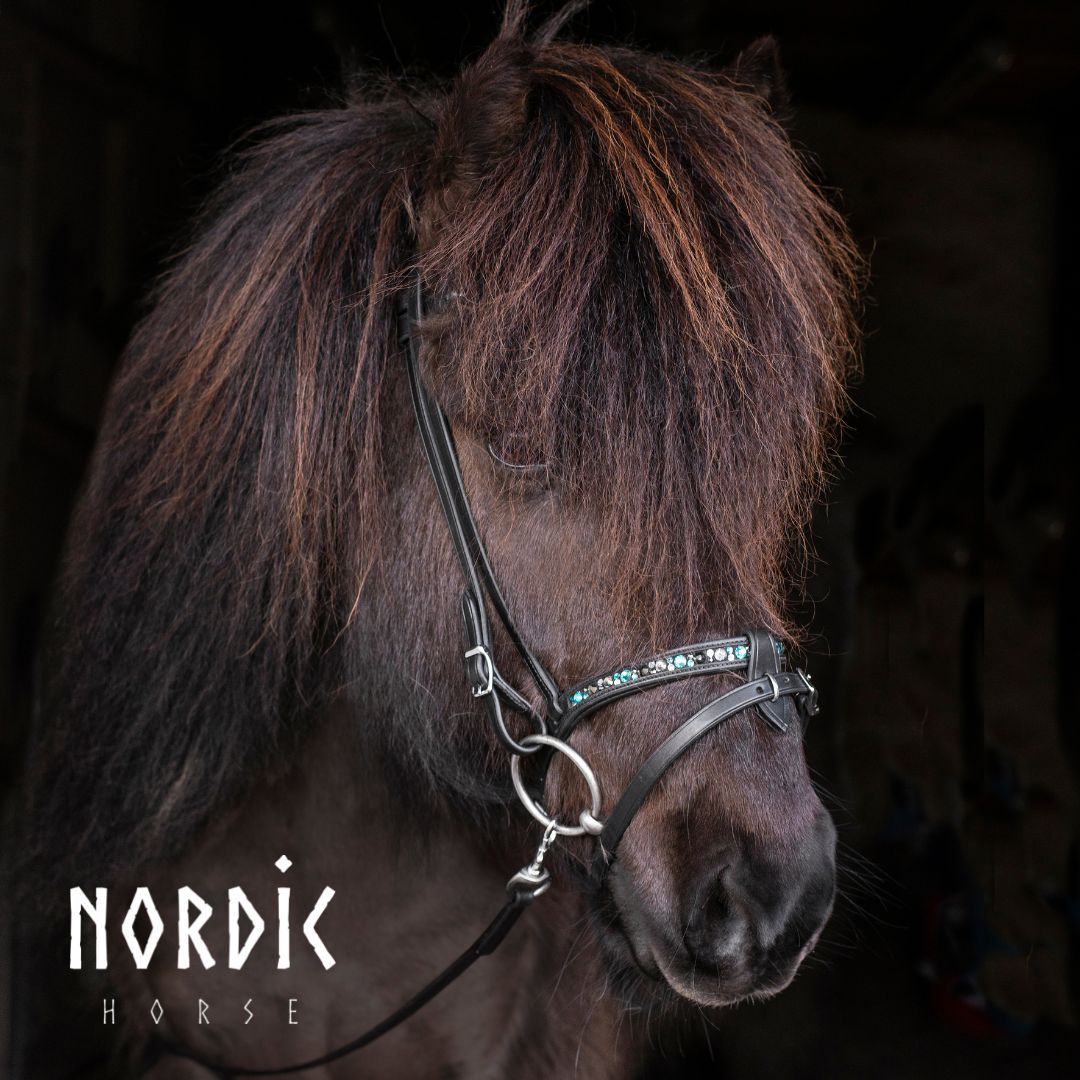 Kombi/ Engelsk nosgrimma med turkos stenar