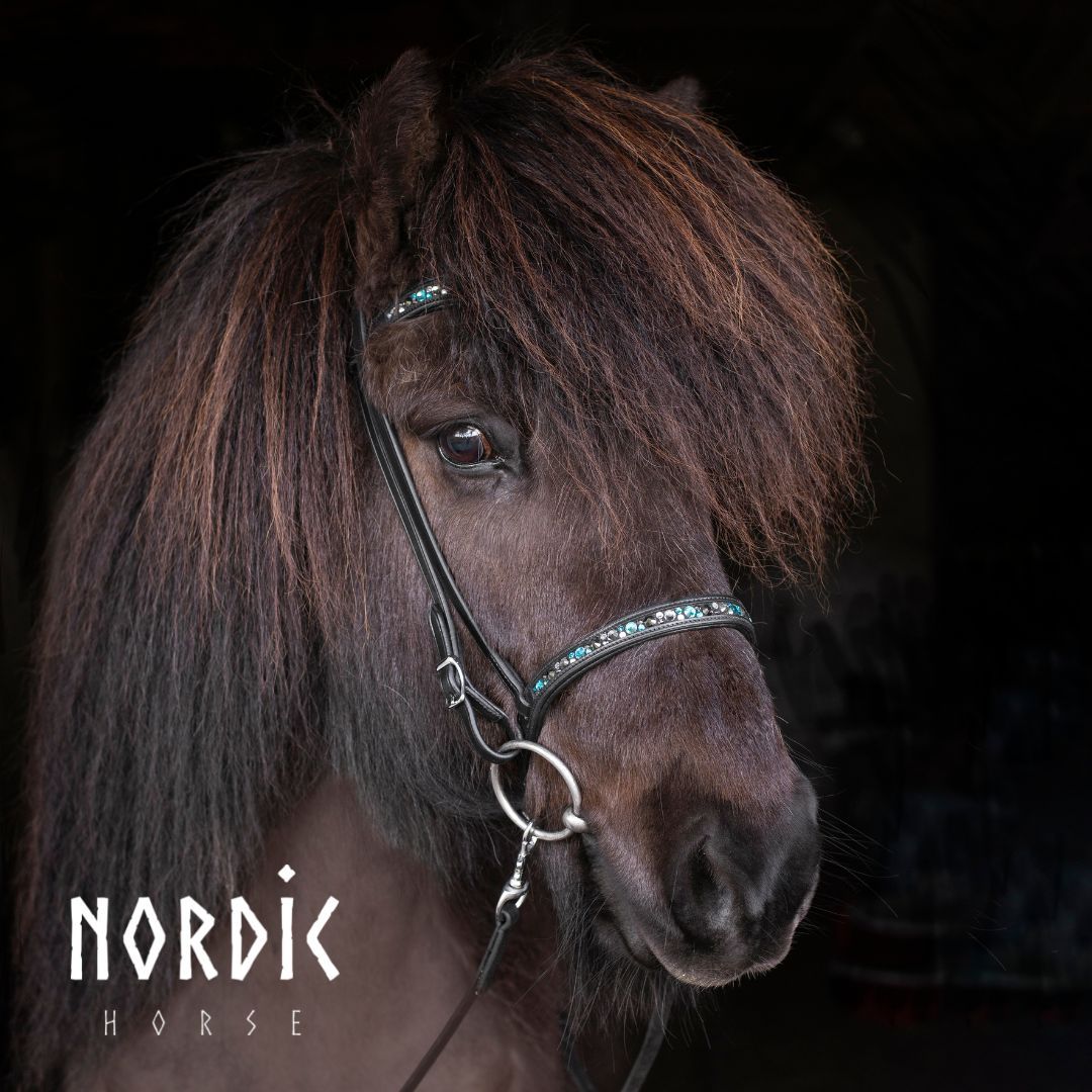 Kombi/ Engelsk nosgrimma med turkos stenar
