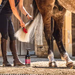 Canter Mane & Tail Conditioner spray