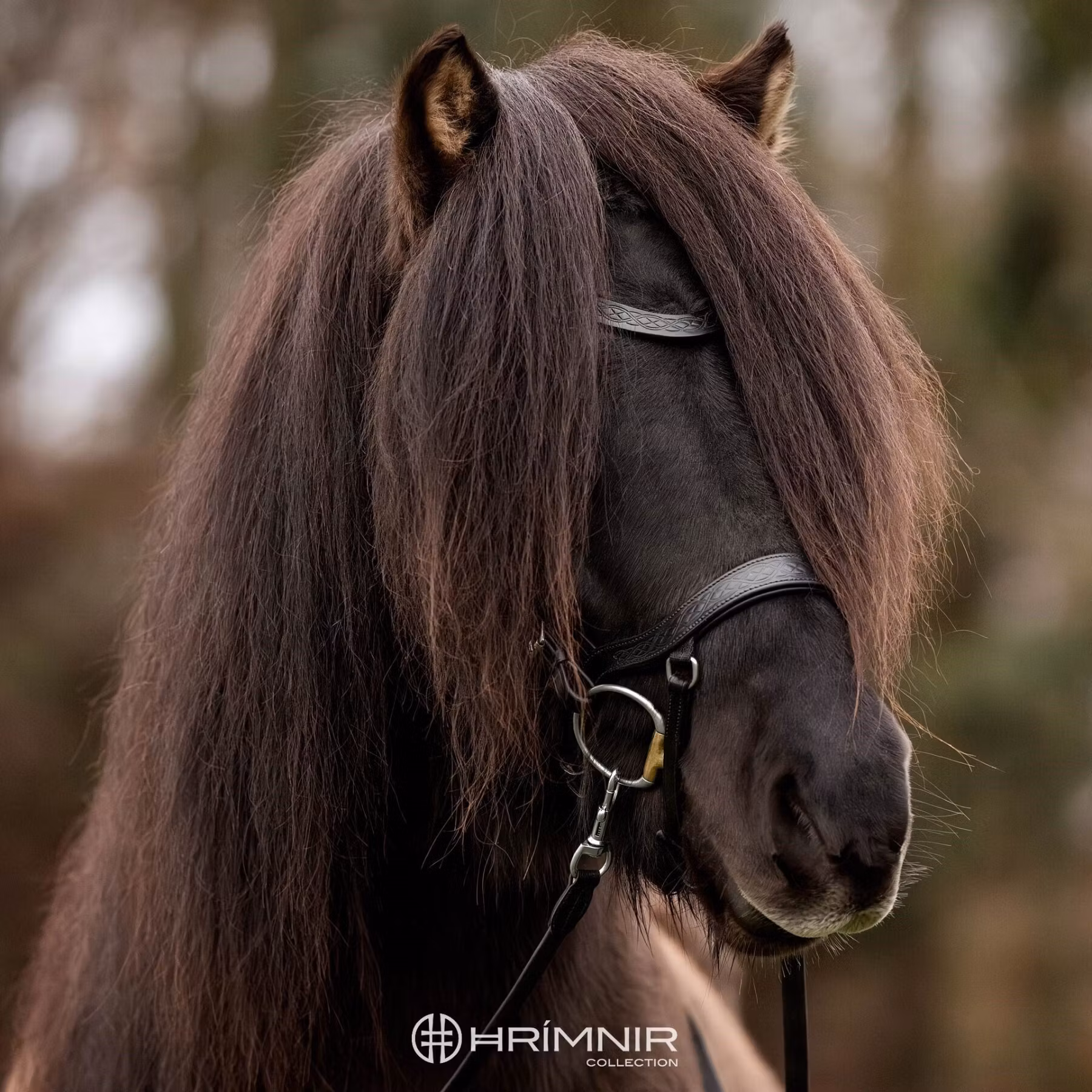 Hrimnir Heritage Classic huvudlag