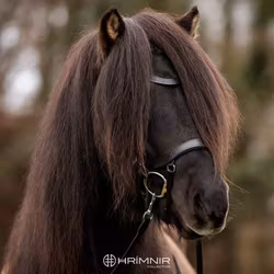 Hrimnir Heritage Classic huvudlag