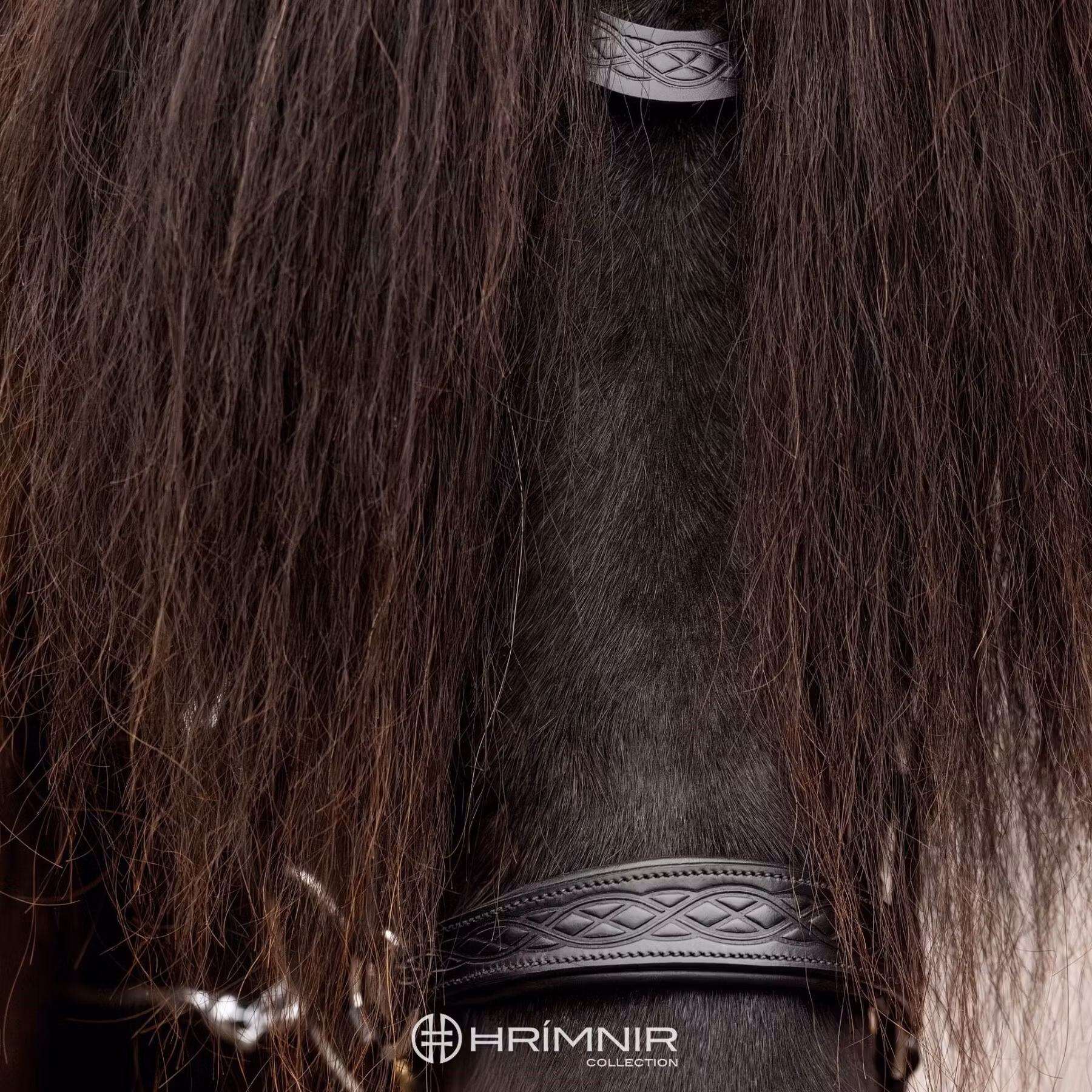 Hrimnir Heritage Hannoverans nosgrimma