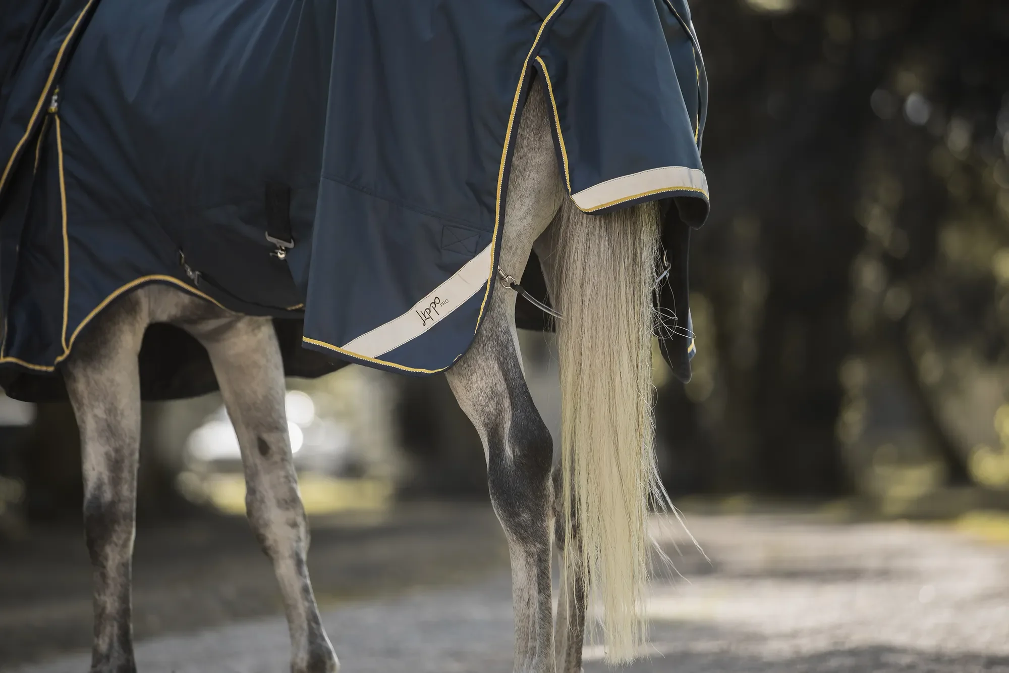 Lippo PRO Outdoor NYHET !