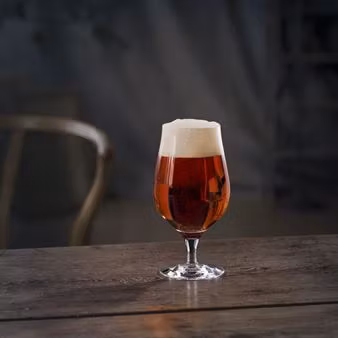 Orrefors Beer Taster ölglas 4-pack