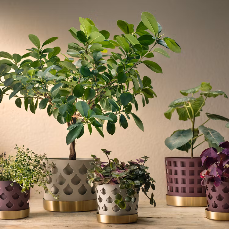 Klong Trio Drop liten beige