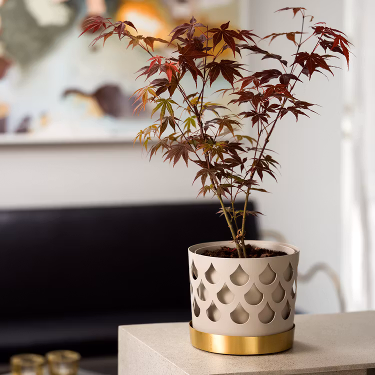 Klong Trio Drop medium beige