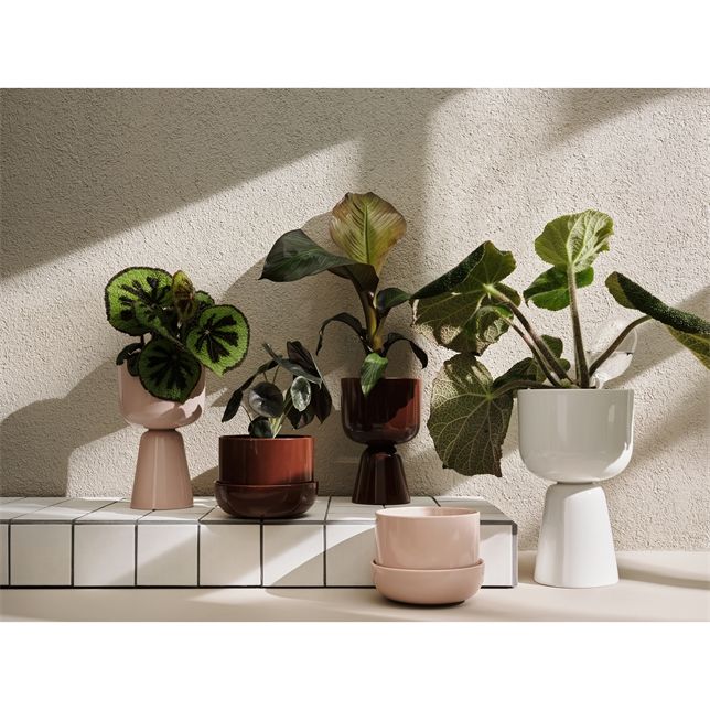 Iittala Nappula kruka beige 170x130 mm