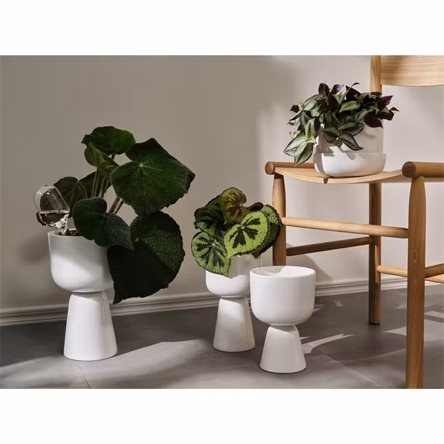 Iittala bevattningsbehållare 2-pack