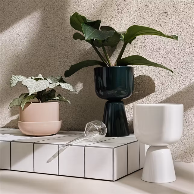 Iittala bevattningsbehållare 2-pack