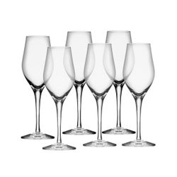 Orrefors Sense champagneglas 6-pack