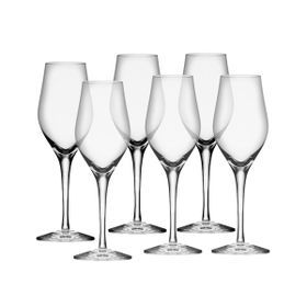 Orrefors Sense champagneglas 6-pack