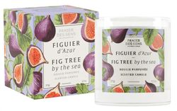 Doftljus Fig Tree By The Sea - Panier Des Sens