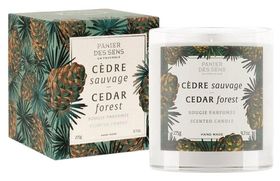 Doftljus Cedar Forest - Panier Des Sens