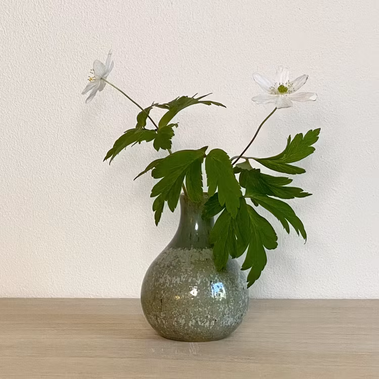 Minivas GRÖNSKA