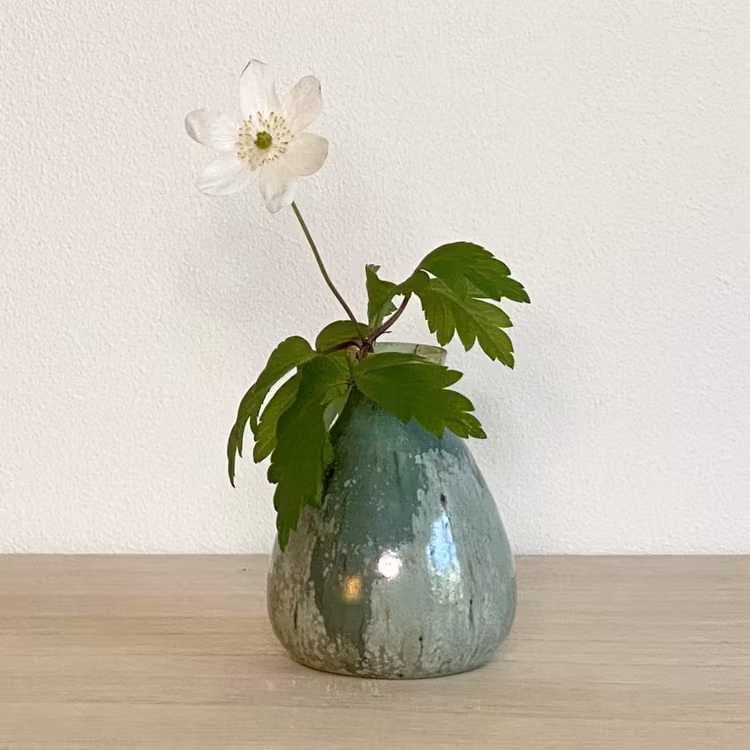 Minivas GRÖNSKA