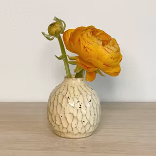 Karvad minivas VANILJ