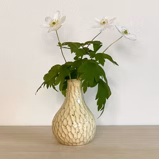 Karvad minivas VANILJ