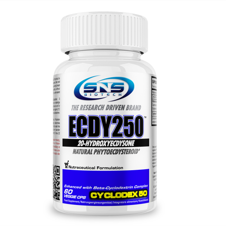 ECDY250