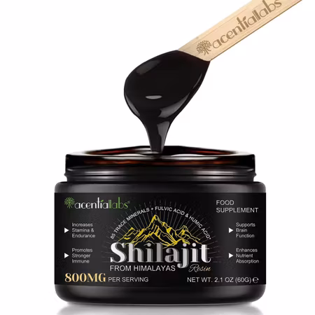 Shilajit 60gram