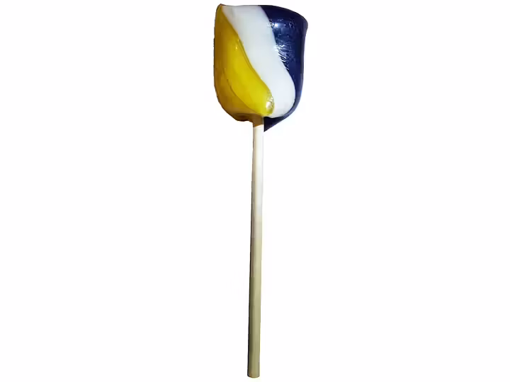 Blåbär/Citron, klippklubba - Choco Bako, 24g