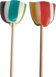 Regnbåge, klippklubba - Choco Bako, 24g