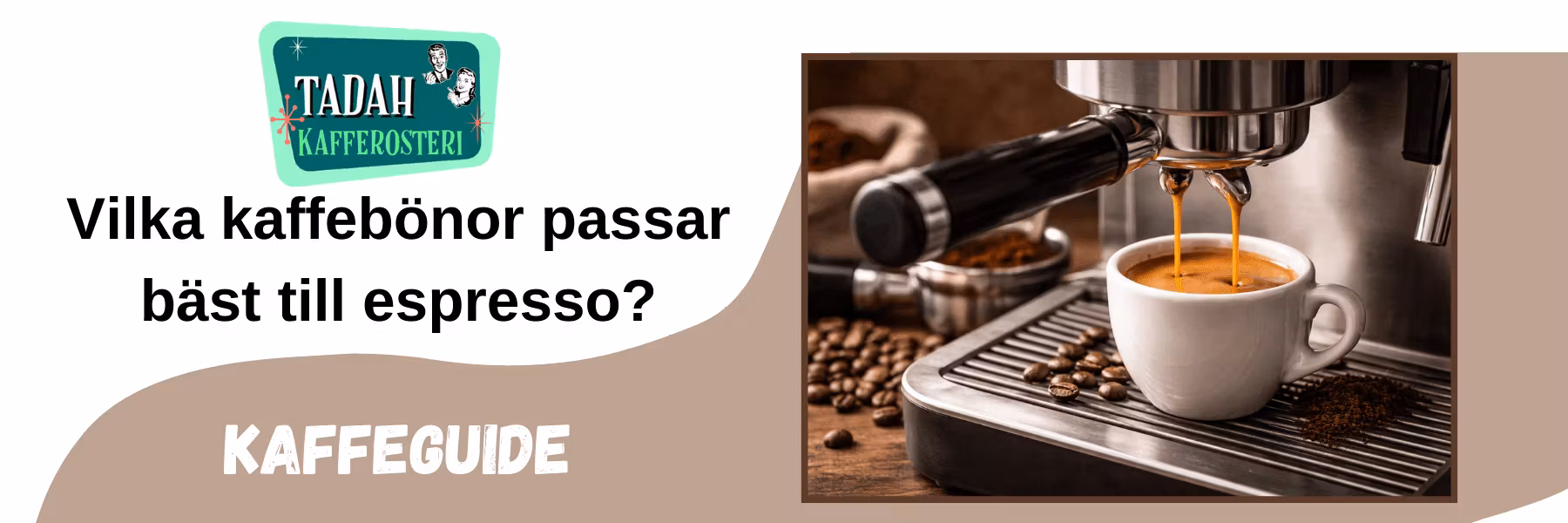 Kaffeguide: Vilka kaffebönor passar bäst till espresso?