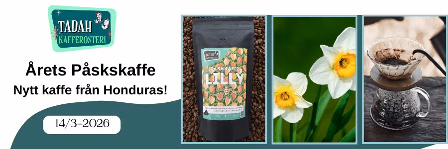 14/3-2026 Årets påskkaffe