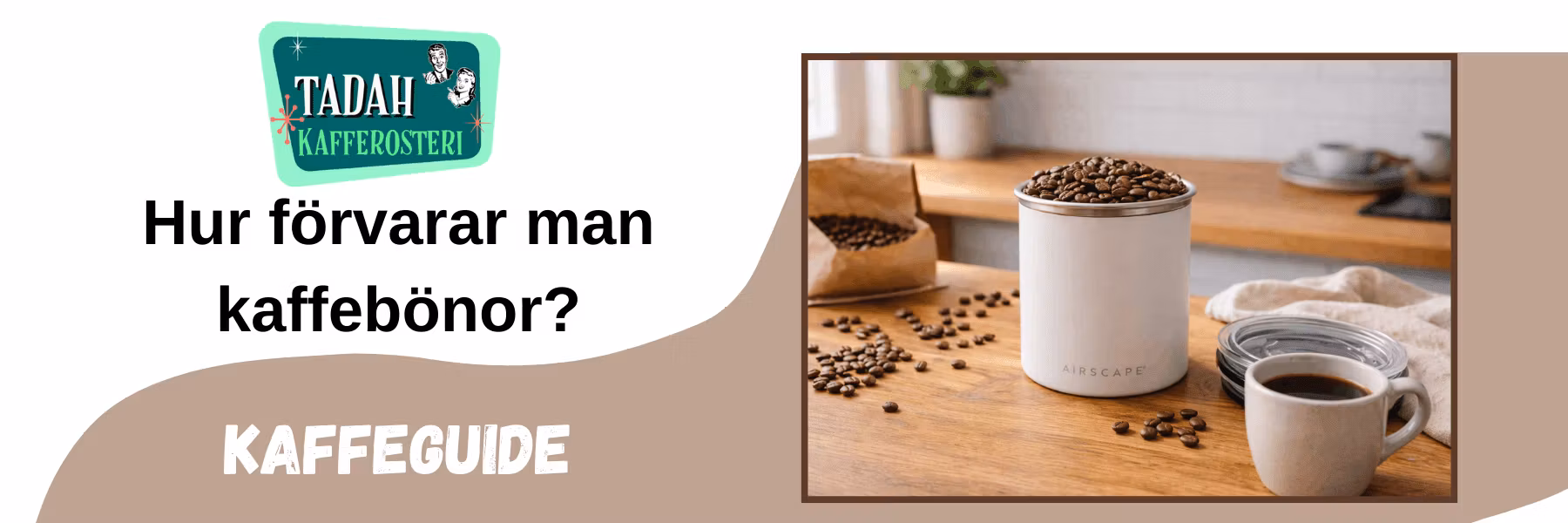 Kaffeguide: Hur ska man förvara kaffebönor
