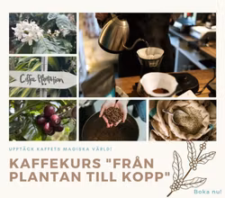 Lecure and cupping "From plant to cup"