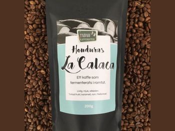 HONDURAS La Calaca