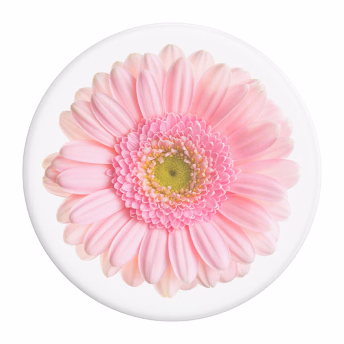 PopSockets Basic Grip Med Ställfunktion Gerber Daisy