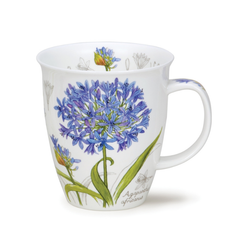 Mugg Benporslin Botanical Sketch Agapanthus (Nevis) - Rymmer 4,8 dl
