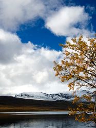 Høstfarger