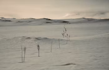 Skiløype Tuva