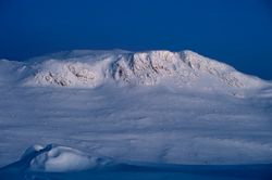 Morgenlys Vesleskaret