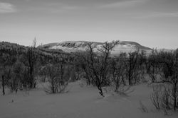 Hallingskarvet sett fra Grødalen