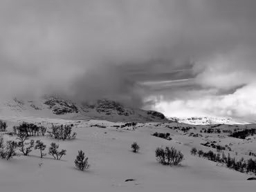 Hallingskarvet Hovet